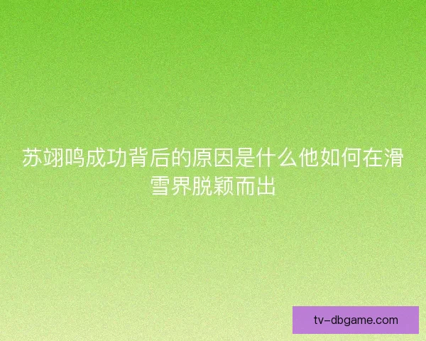 苏翊鸣成功背后的原因是什么他如何在滑雪界脱颖而出